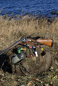 Waterfowl